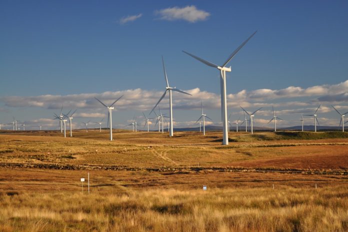 wind farm picture