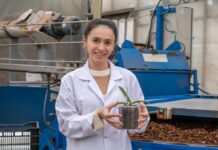 One in three Irish women lack retirement savings Irish woman at work